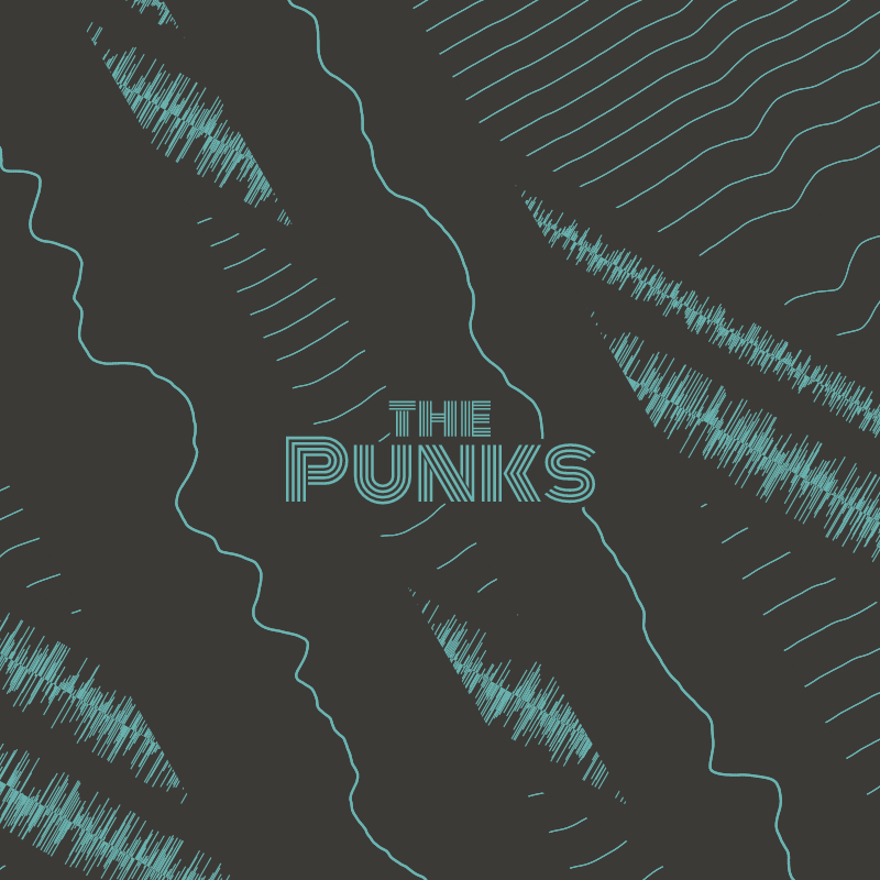 the Punks Merch - Album Covers #22