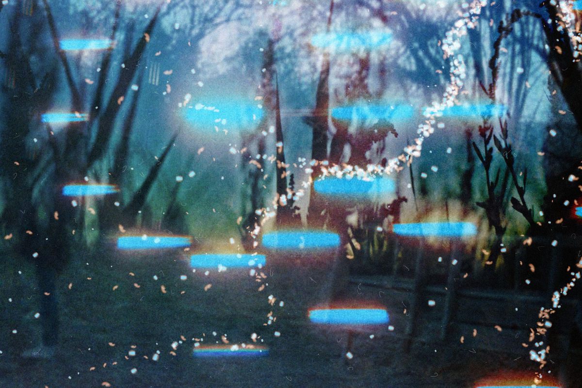 in between #31