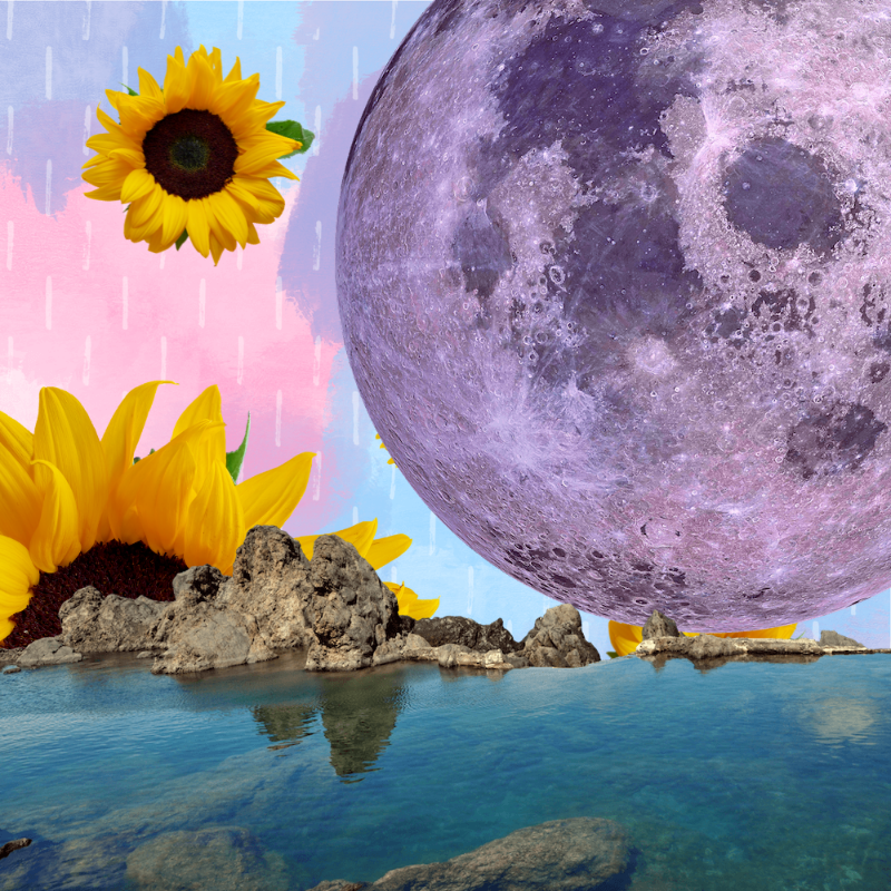 Pink Moon #18