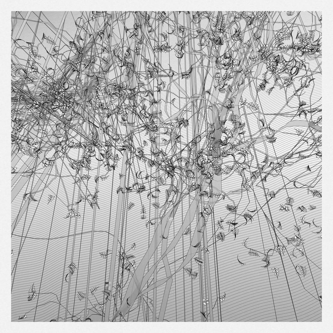 A Bugged Forest #667