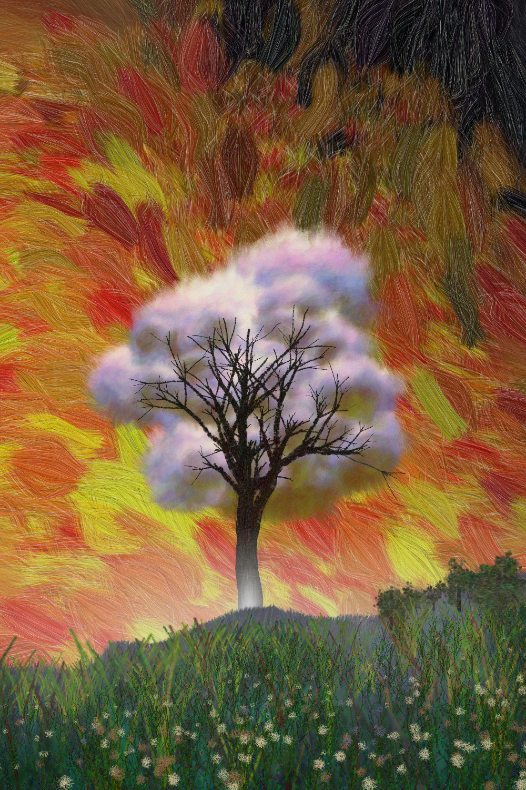 Tree and Cloud #5