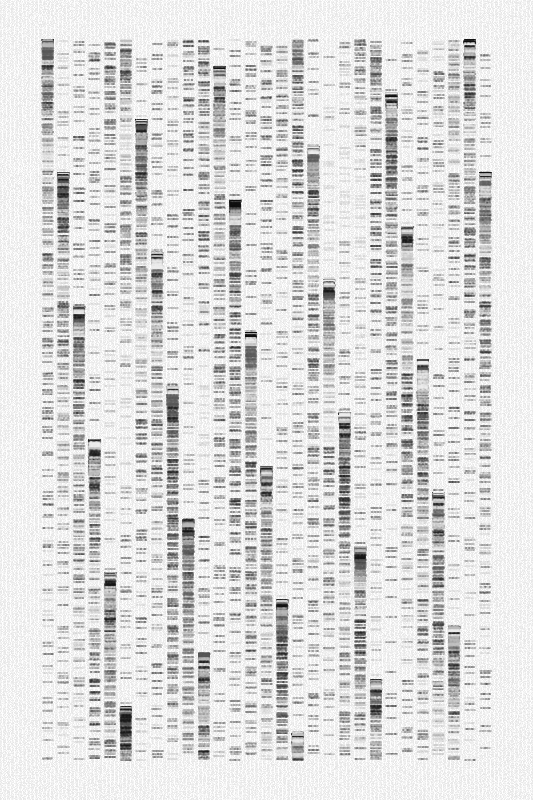 Sequence #449