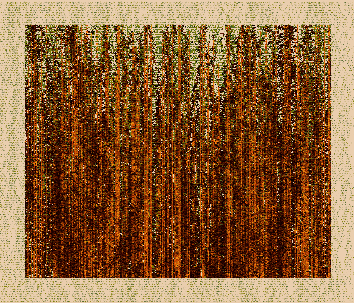 Artificialmente Natural #15