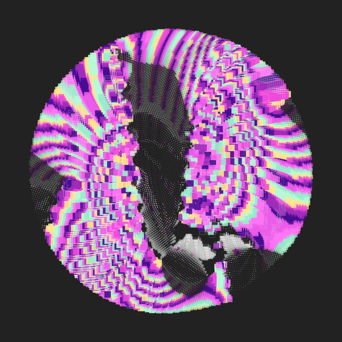 Still C #23175