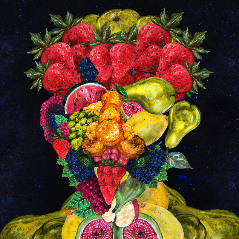 The Arcimboldo Project #48