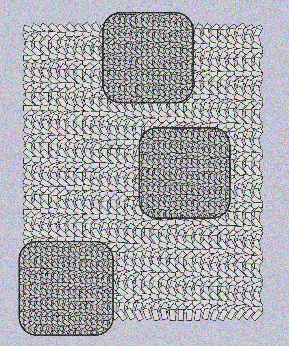 Plexus #12