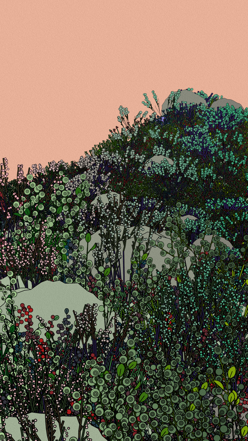 Swedish Forest #175