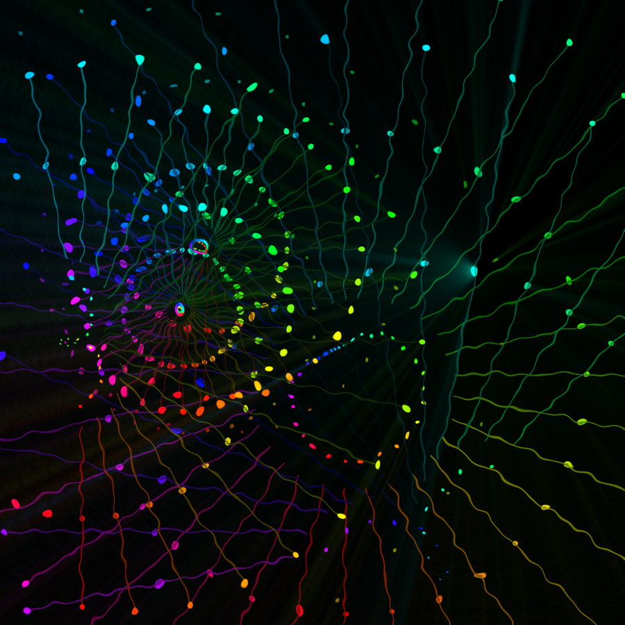 fx(rings/dots)