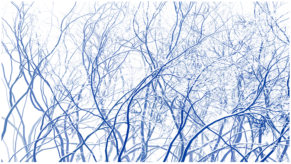 SCHNEEWALD #23