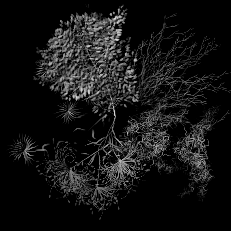 Botanical Ghosts #35