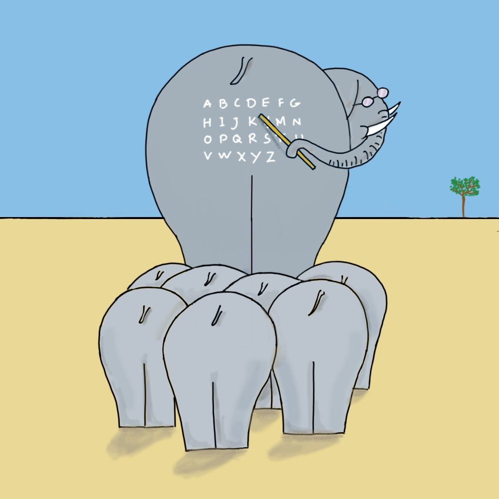 Elephant school #48