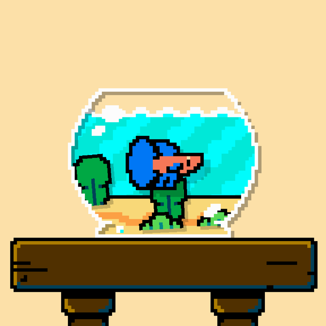 betta fish #529