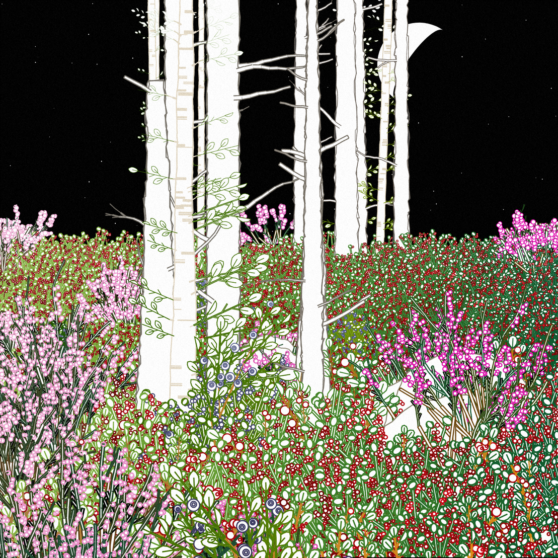 Swedish Forest #66