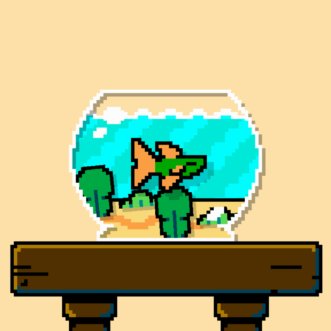 betta fish #401