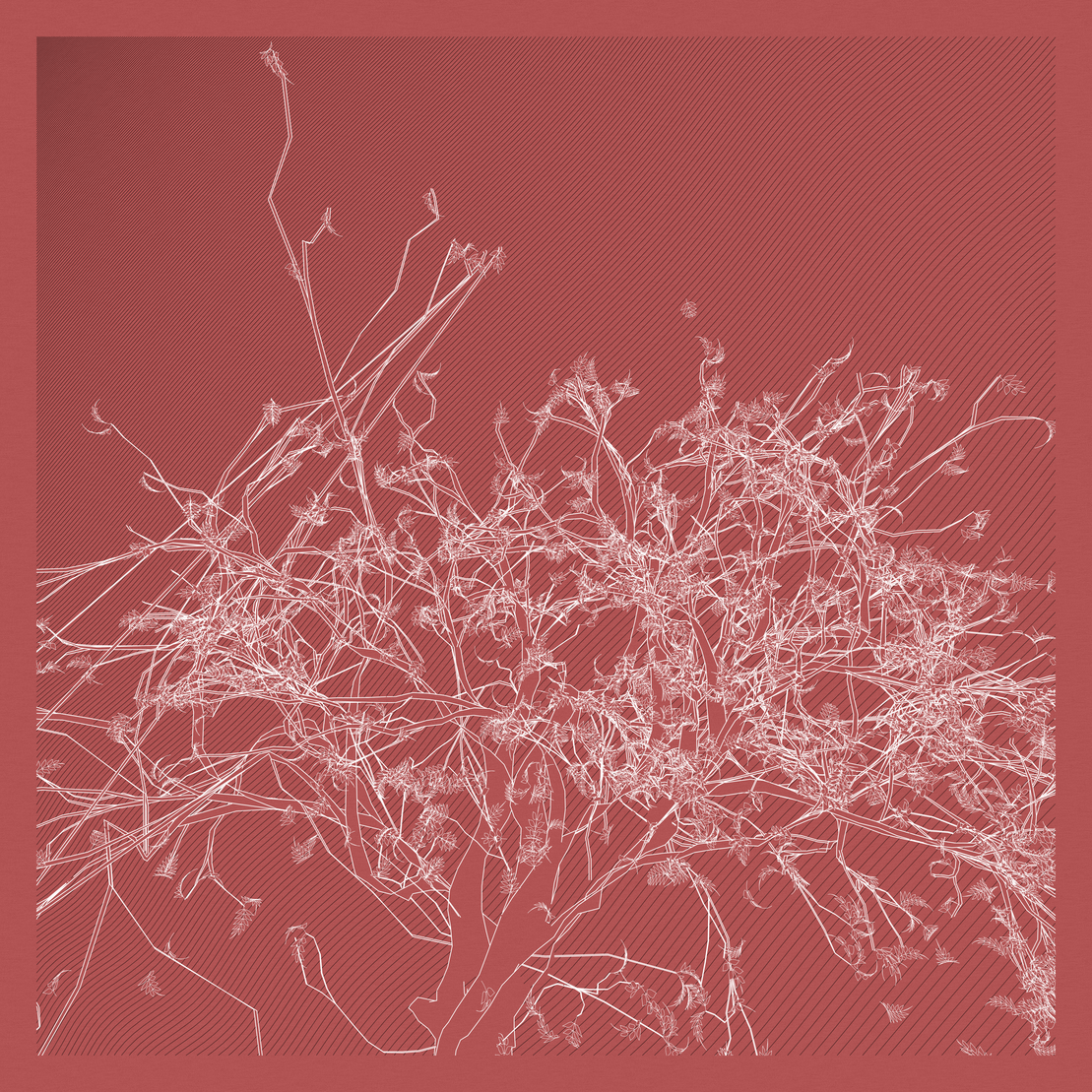 A Bugged Forest #944