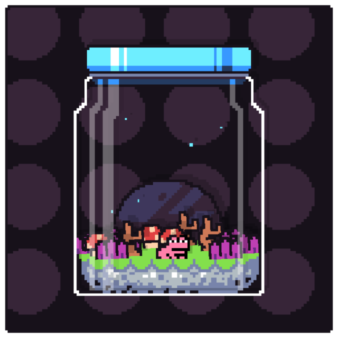 Toad Terrarium #245