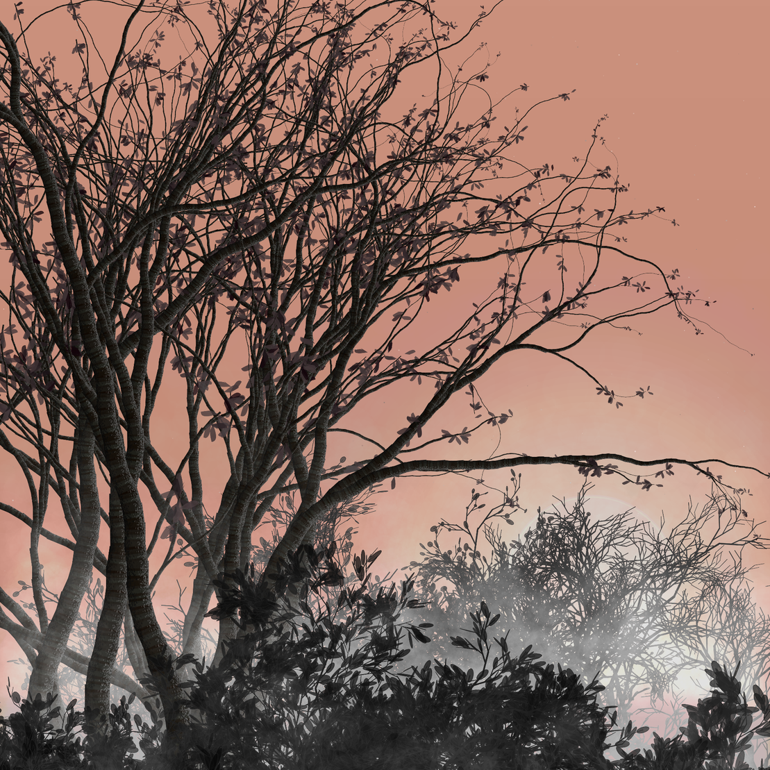 Morning Mist #296
