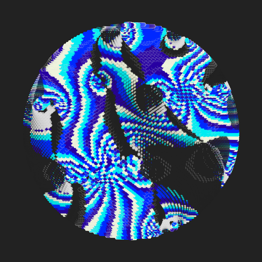 Still C #25488