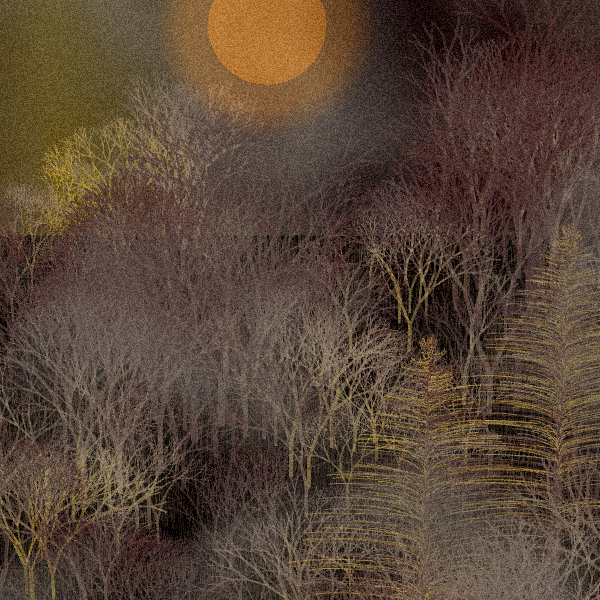 Moonlit Native Bush #24