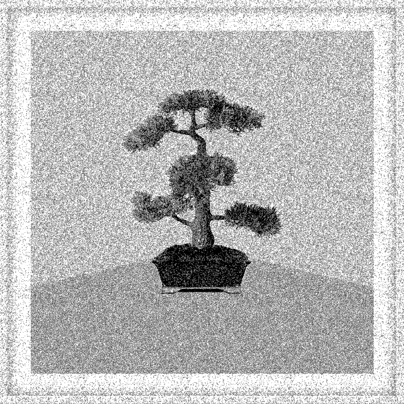 Bonsai Bonanza #737