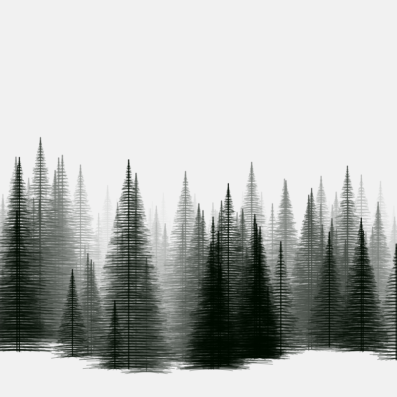 Pine trees in the cold #13