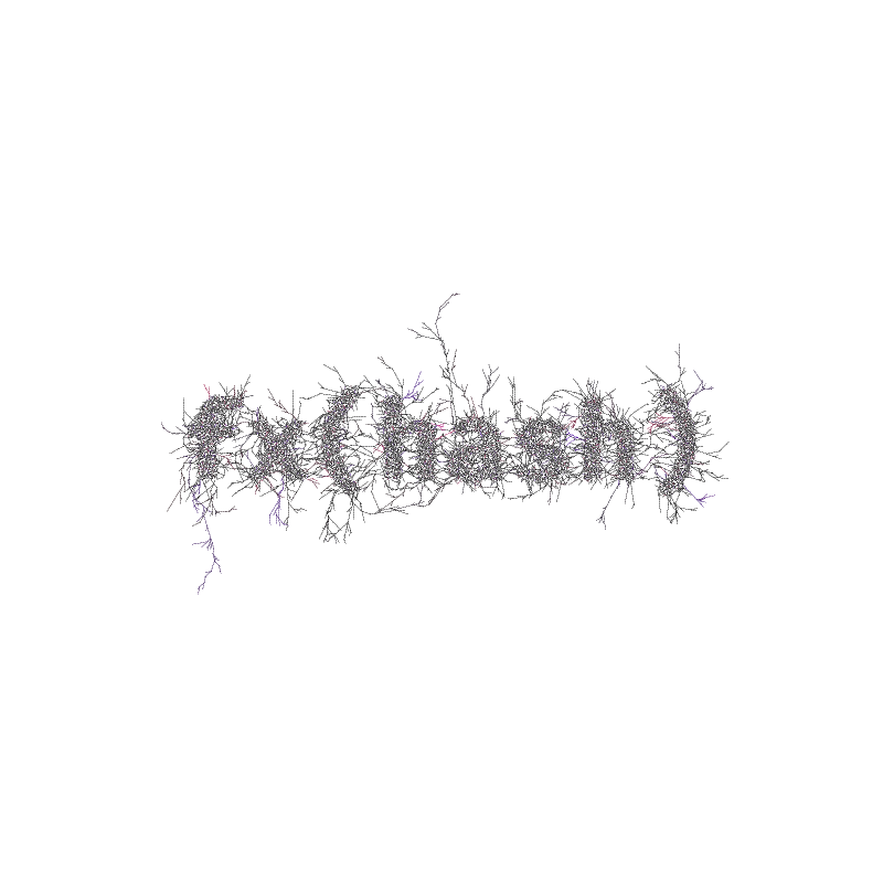 FXHASH Logo with Features #955