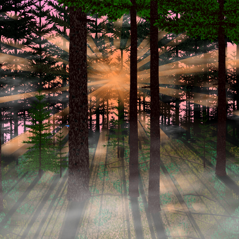 Forest Sunrise #38