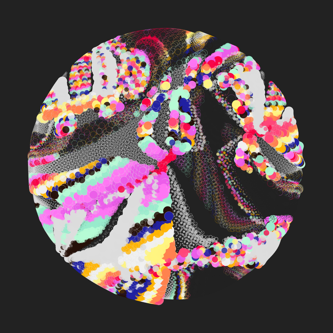 Still C #20748