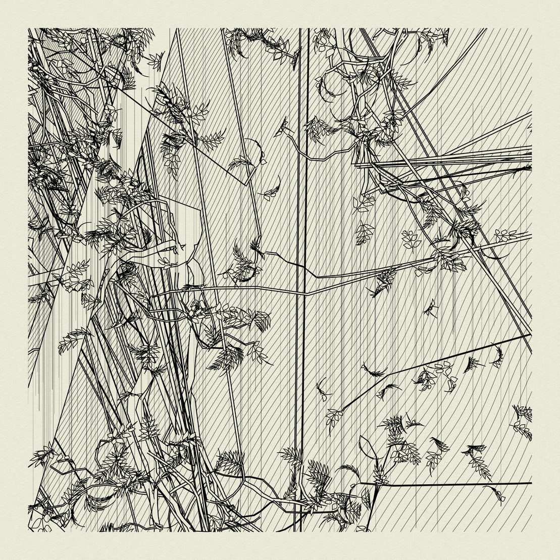 A Bugged Forest #707