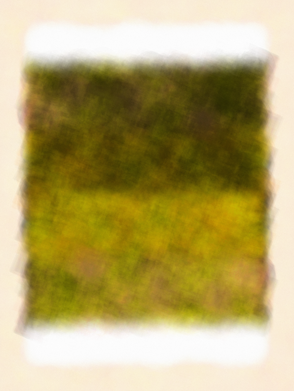 BasicHumanEmotion #24