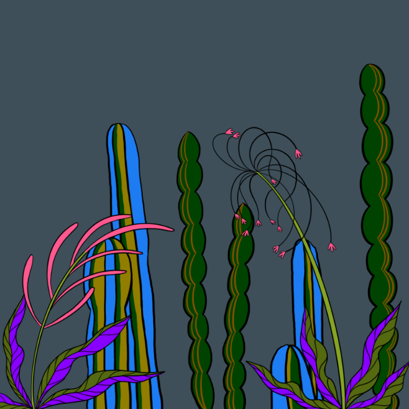 Desert Exuberance #16
