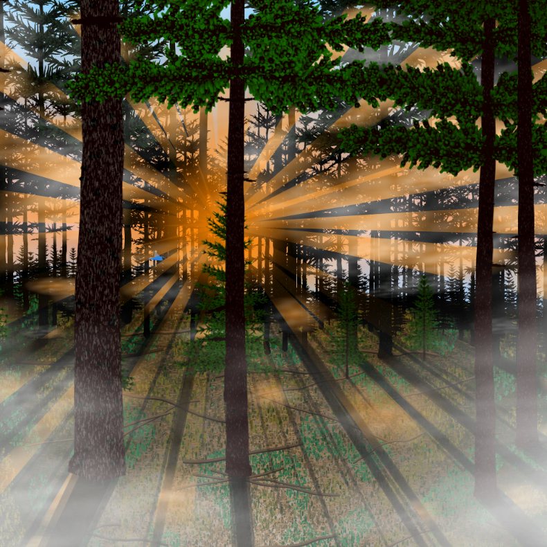 Forest Sunrise #29