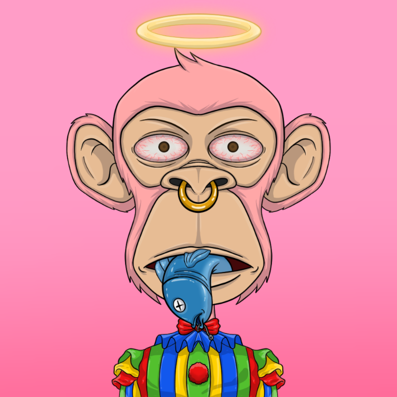 chimpantez #608