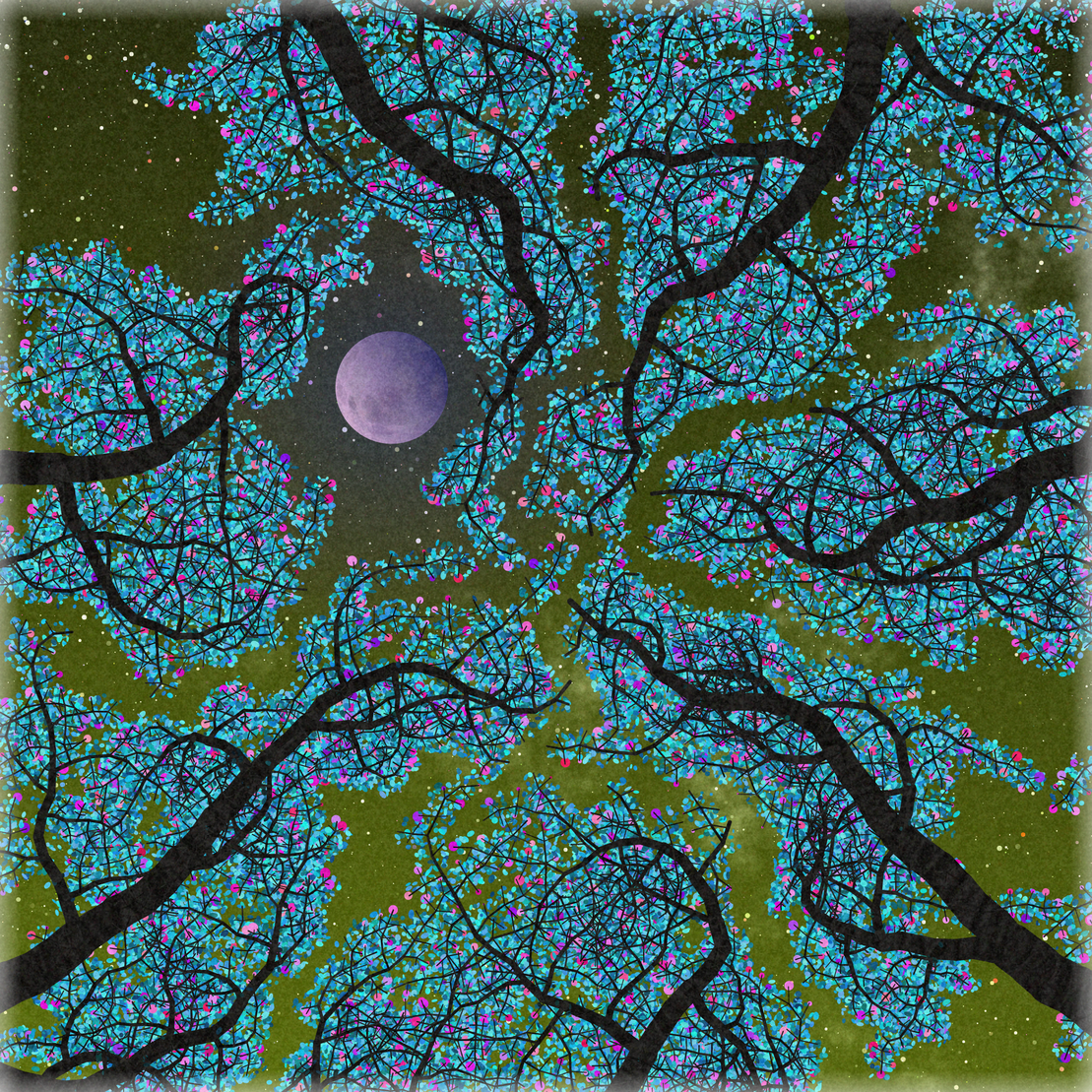 Tree Skyness #1