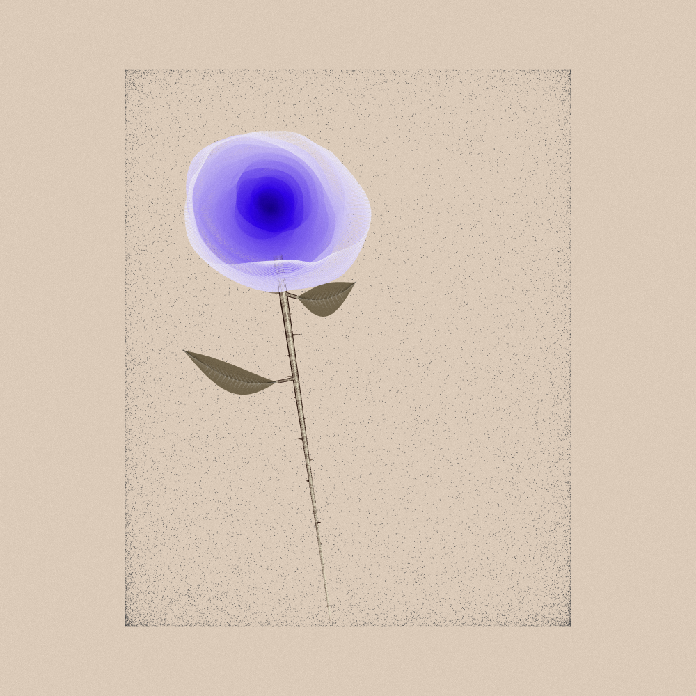 Magnolia #105