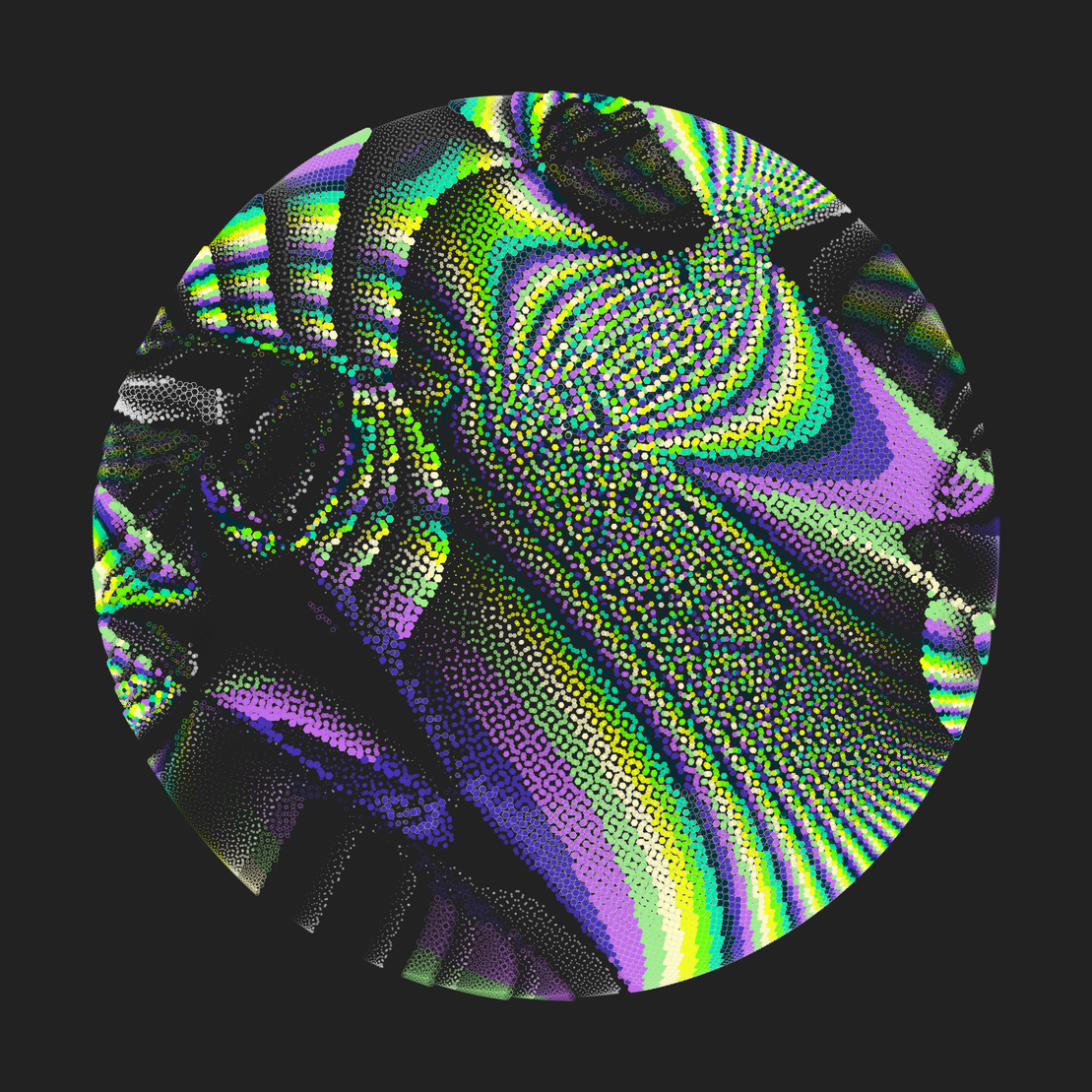 Still C #19206