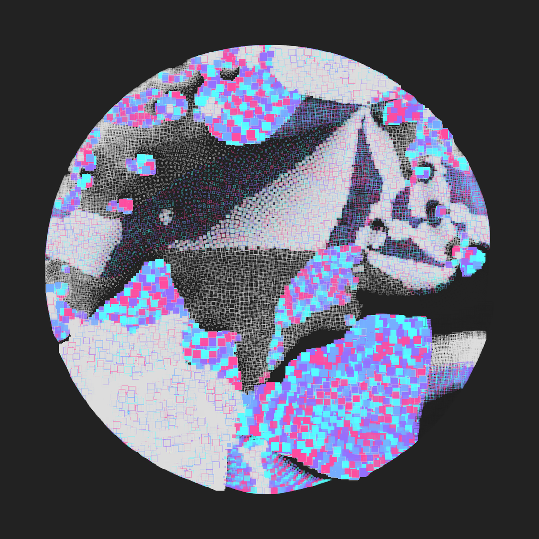 Still C #1365