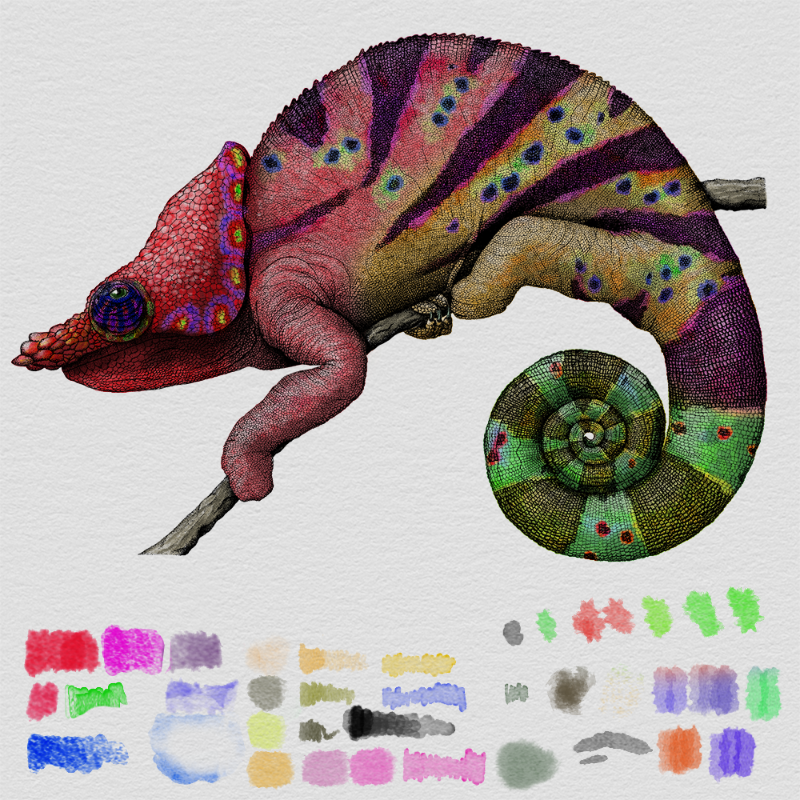 Colorful Cameleon #29