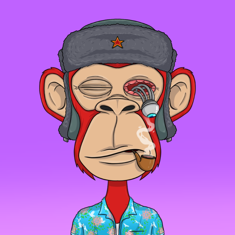 chimpantez #34