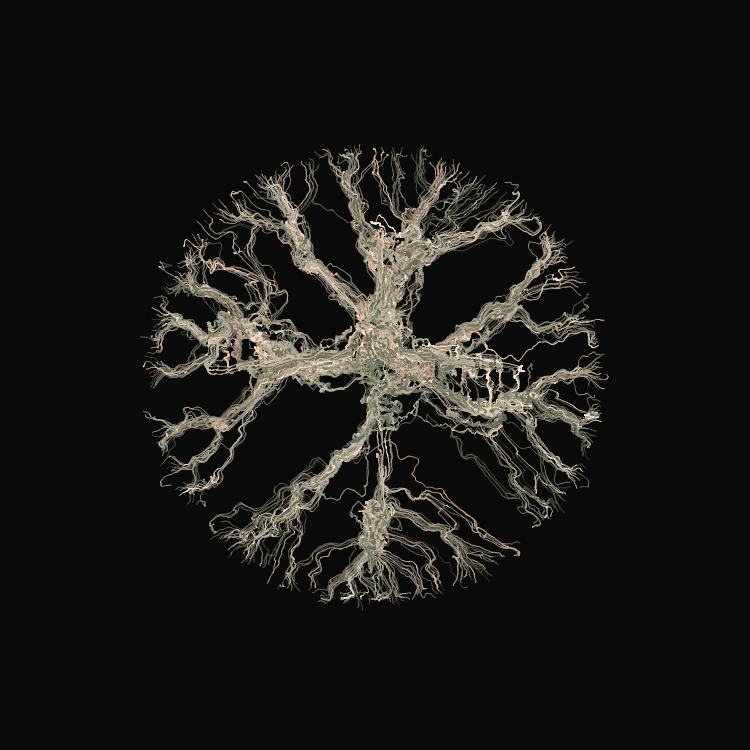 Ginseng #112