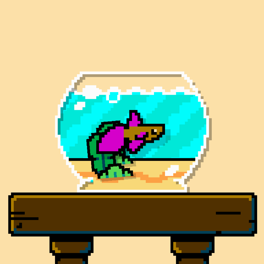 betta fish #271