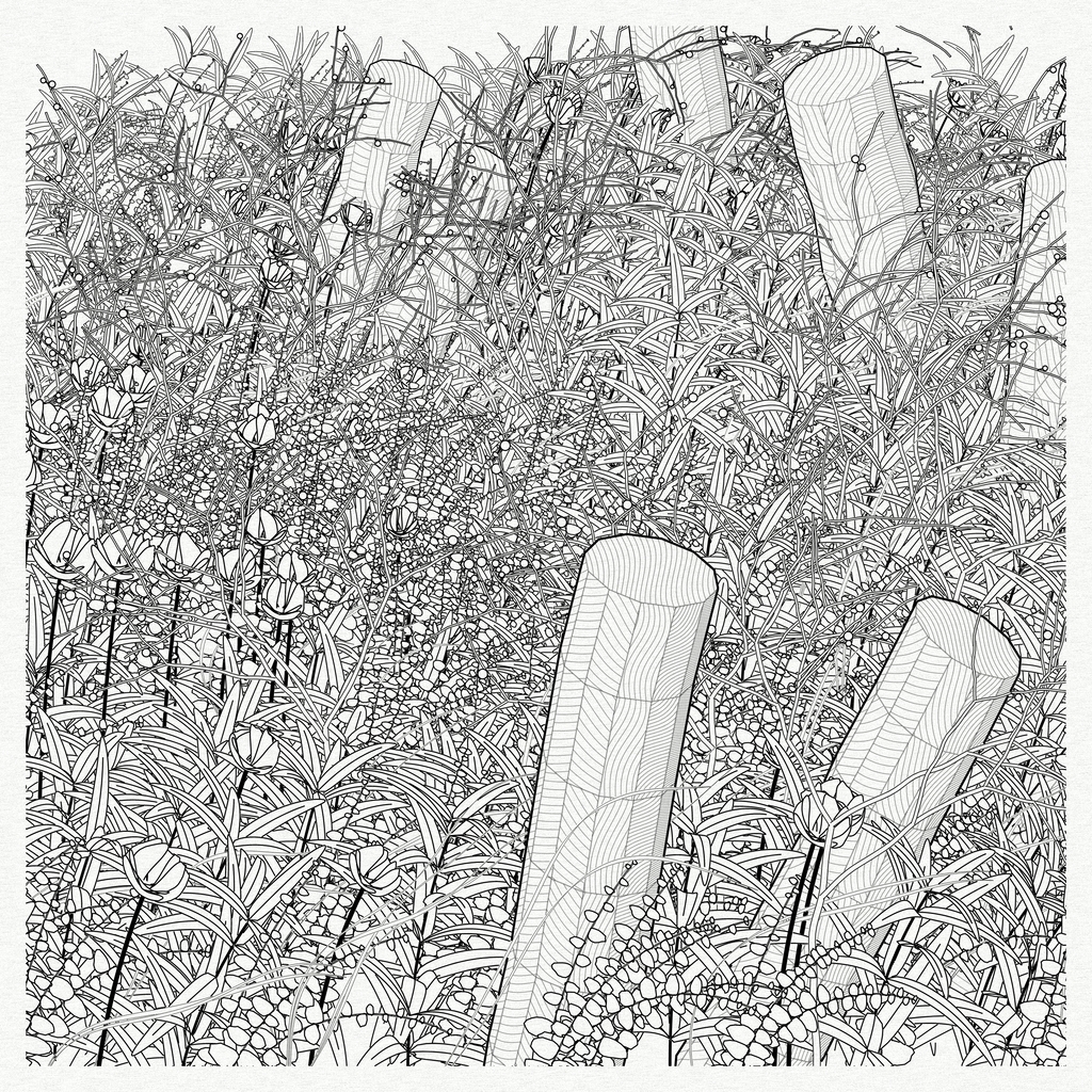 Garden, Monoliths #168