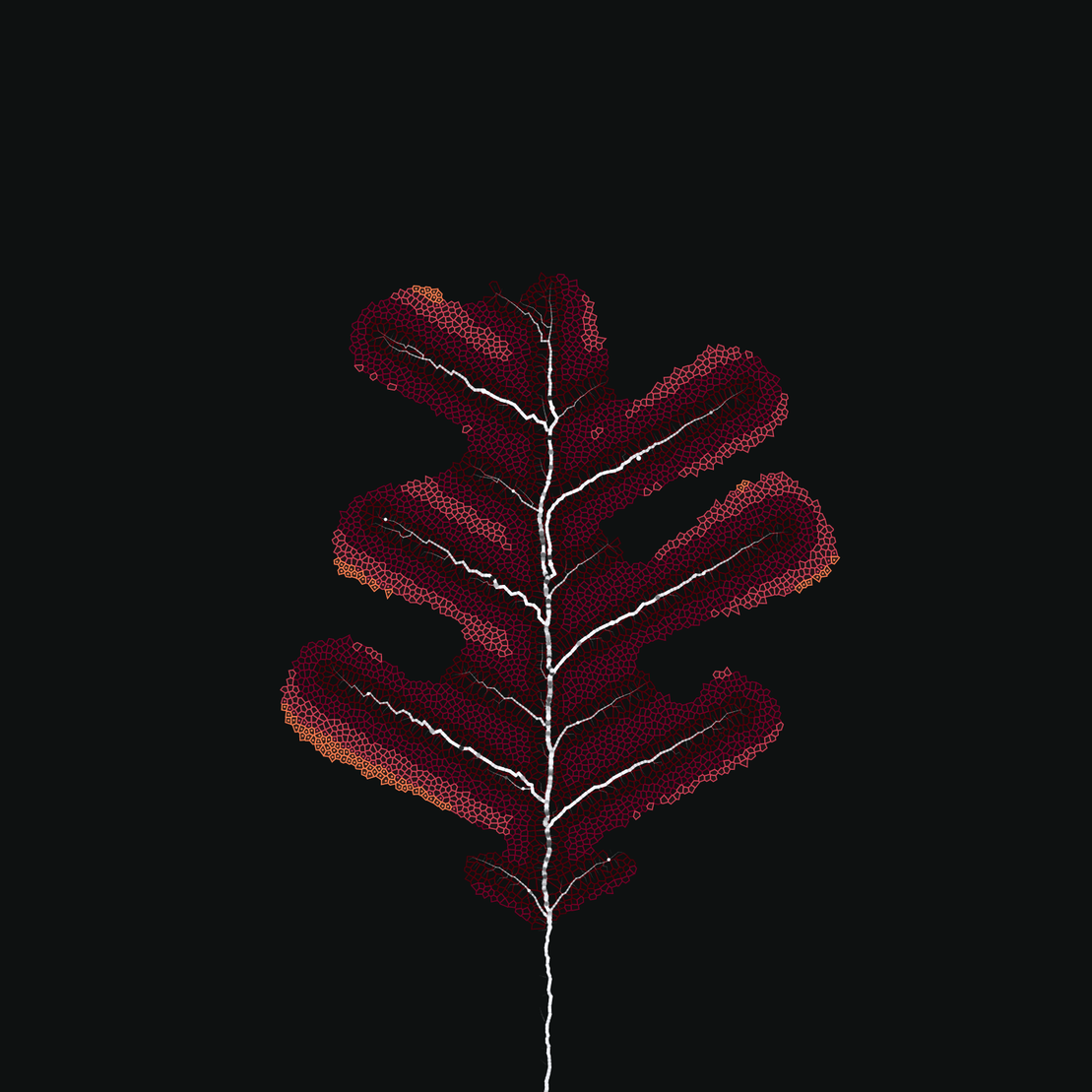 Leaf study #38