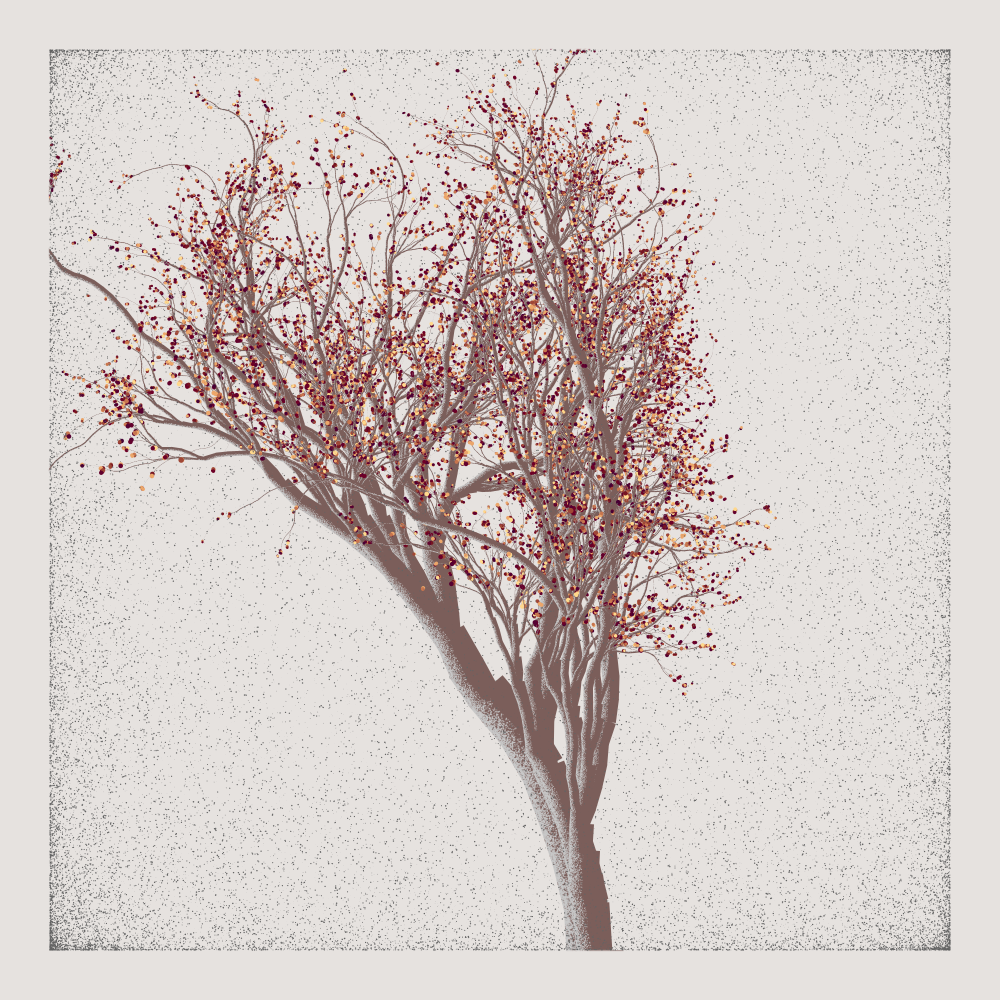 Bougainvillea #171
