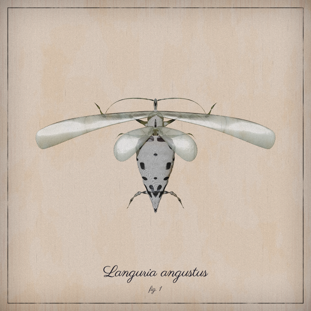 ProcGen Entomology #465