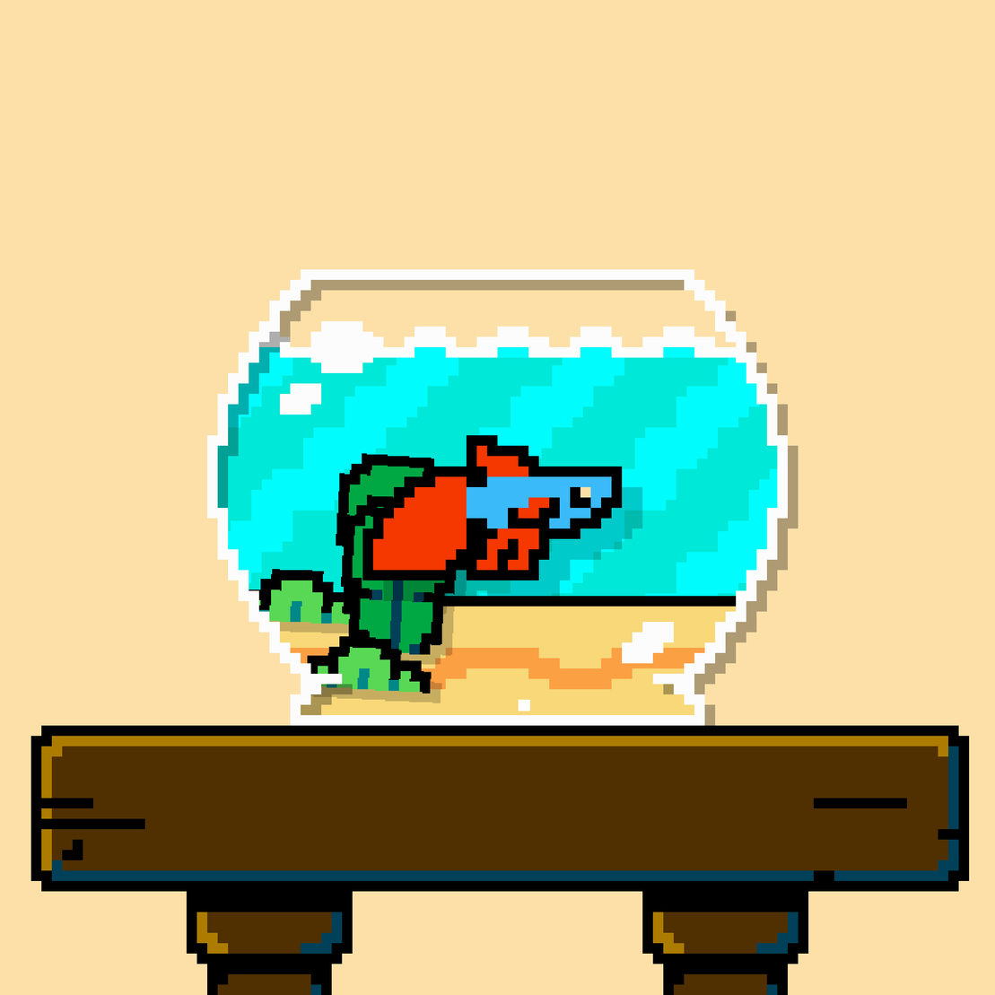 betta fish #187