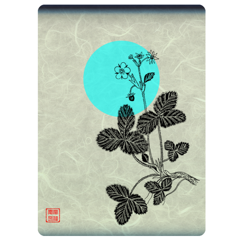 Zen flower card  #39