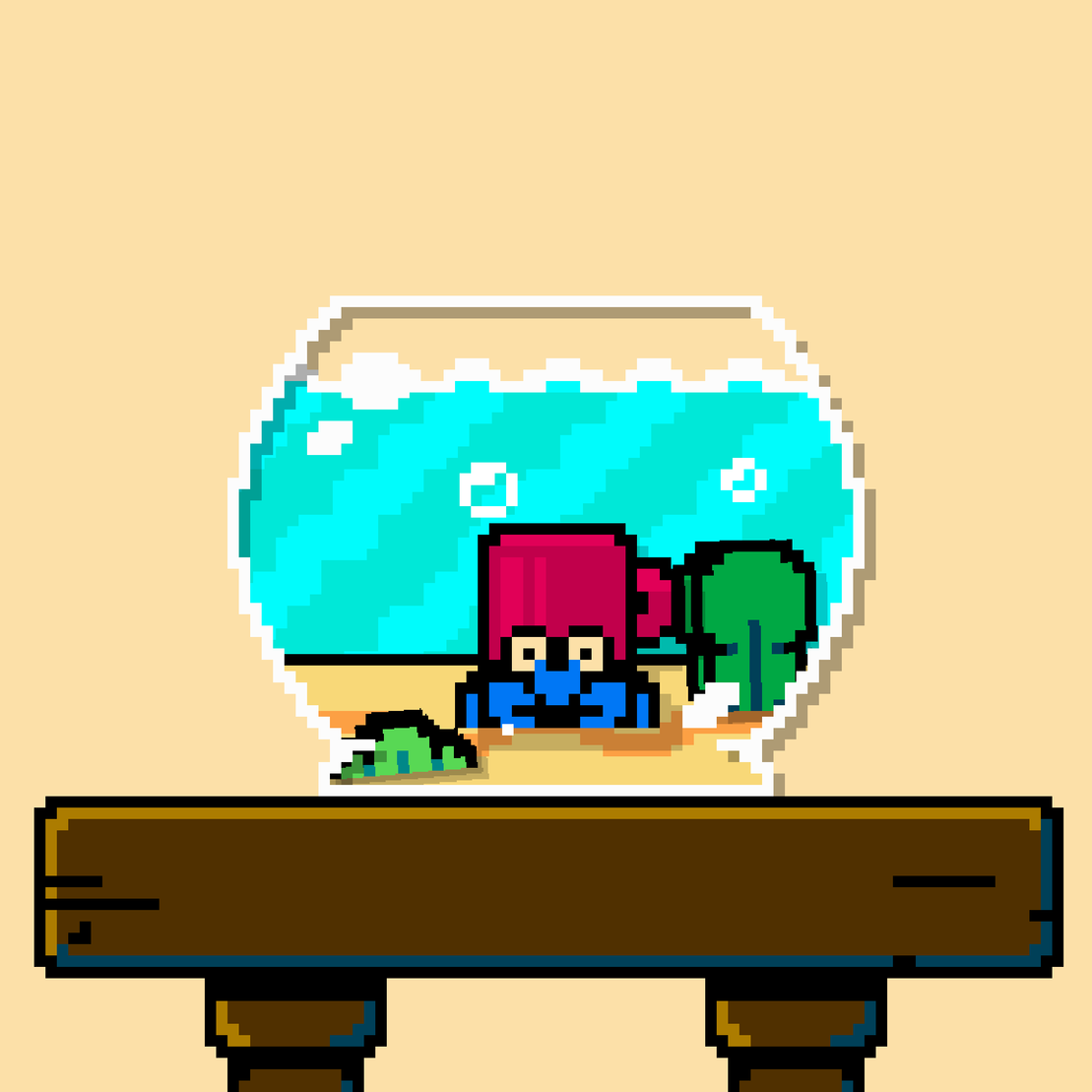 hermit crab #73