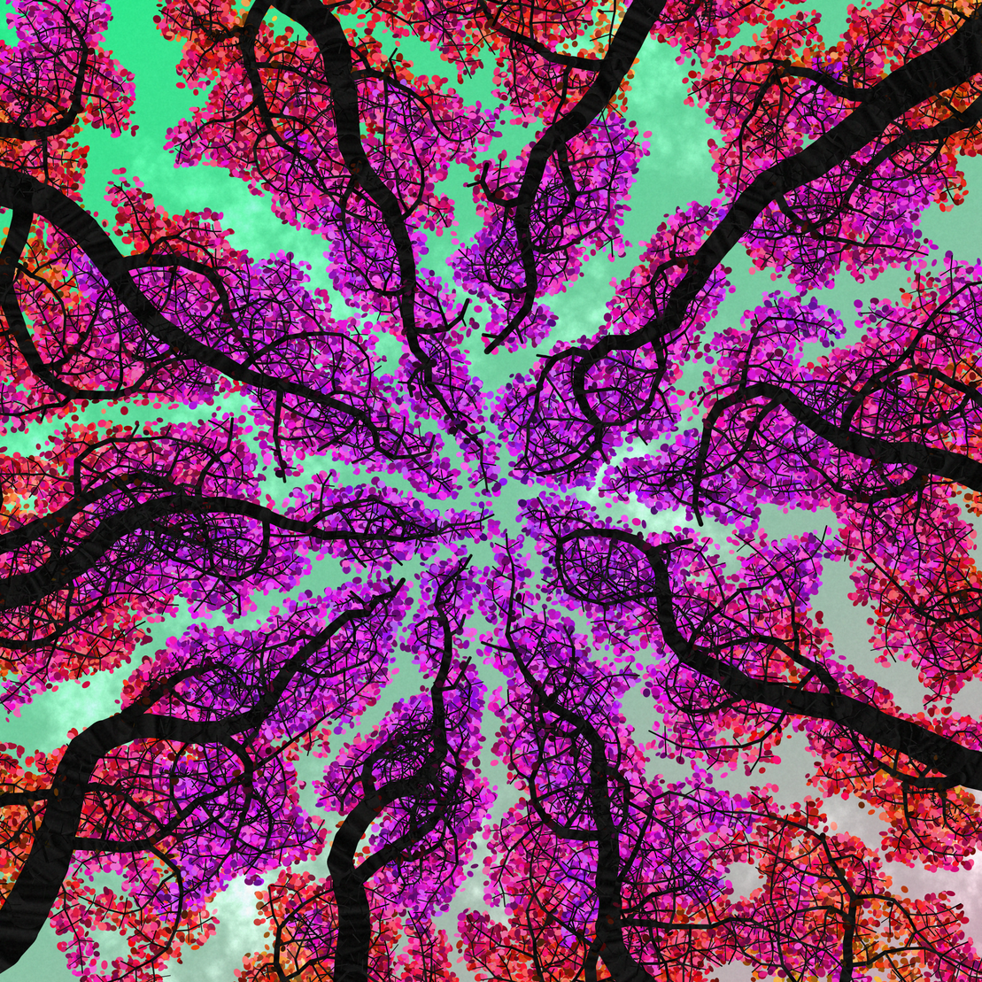Tree Skyness #155