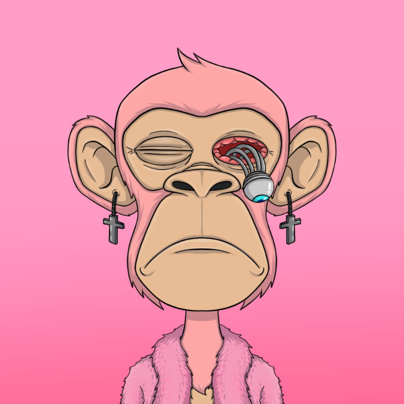 chimpantez #244